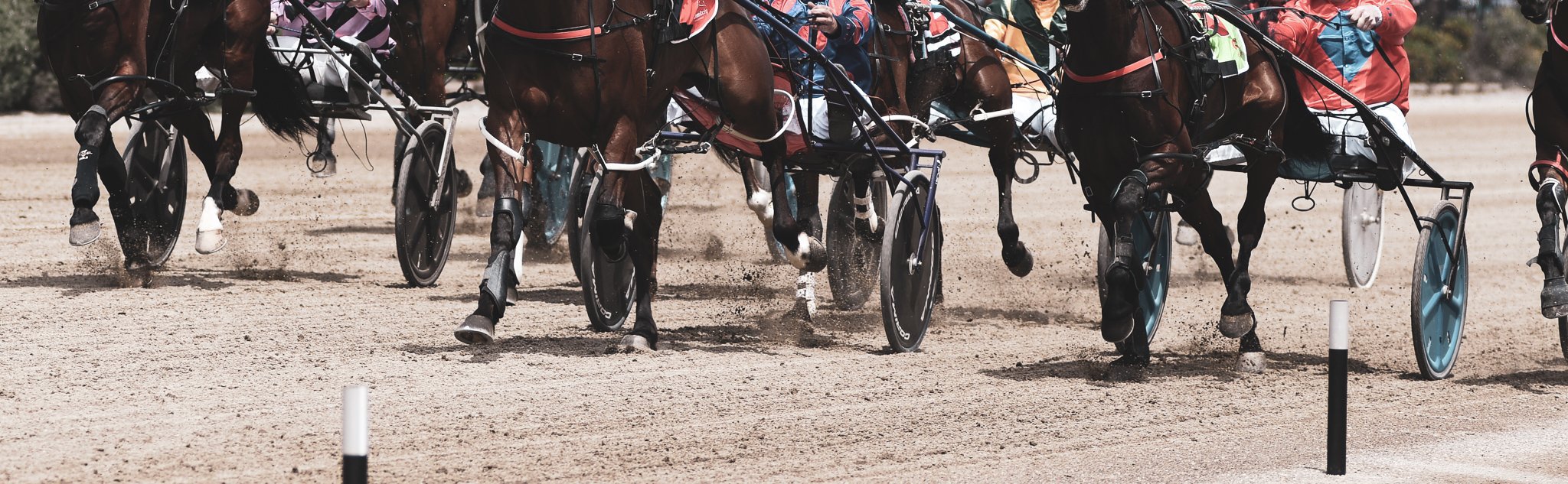 Enquiry Club Menangle